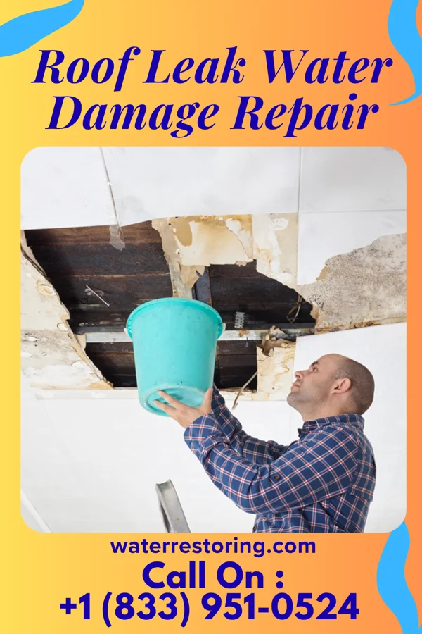 Roof Leak Water Damage Repair in Pullman, WA